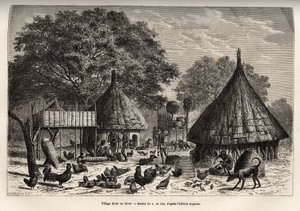 冬のDiour村（スーダン）と共同体が育てた動物たちの中での住民の日常活動、1868年から1871年のアフリカの中心部への旅を描いたA.de Barの絵の後の彫刻、Georges Schweinfurt博士によるもの 作： Alexandre de (after) Bar