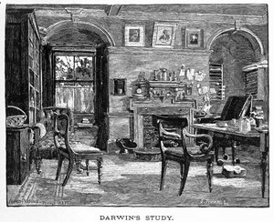 ダーウィンの書斎（Charles Darwin, his Life and Work, pub.1891年（木版画 作： Alfred (after) Parsons