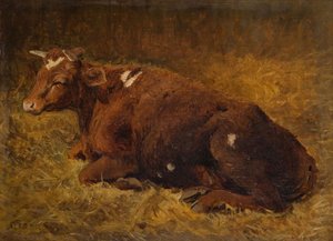 地面に横たわる牛、1865-1872。 作： Alfred Baker