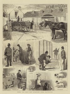 失われた飢えた犬のための家、バタシー 作： Alfred Chantrey Corbould
