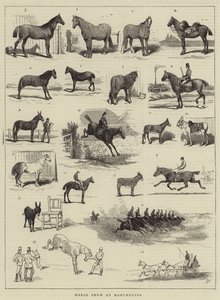 マンチェスターでの馬ショー 作： Alfred Chantrey Corbould