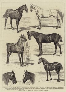 イズリントン馬ショーでのスケッチ