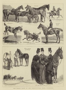 イズリントン農業ホールでの馬ショー 作： Alfred Chantrey Corbould