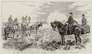 マウンテンミュールバッテリー、最近アルダーショットで結成され、シーザーズキャンプで活動中 作： Alfred Chantrey Corbould