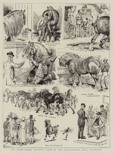 イズリントン農業ホールでのシャイアホース協会のショー 作： Alfred Chantrey Corbould