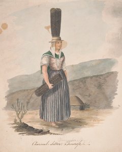 Vendedor de carvão, Tenerife 作： Alfred Diston