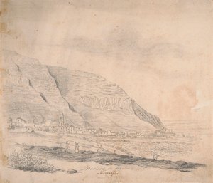 Realejo visto de cima, Tenerife 作： Alfred Diston