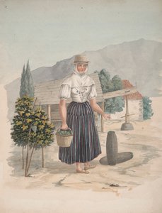 テネリフェ島、エル ミラデロの女 作： Alfred Diston