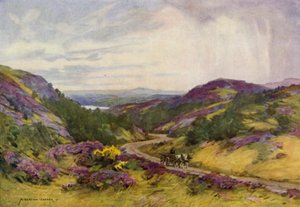 デンマーク: Raebild Hills、オールボー近く (カラー リソ) 作： Alfred Heaton Cooper