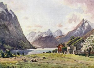 ヒョルンドフィヨルド、グース 作： Alfred Heaton Cooper