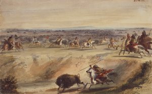 バッファローを囲むまたは狩る、1839年頃（紙に鉛筆、ペンとインク、水彩とガッシュ） 作： Alfred Jacob Miller
