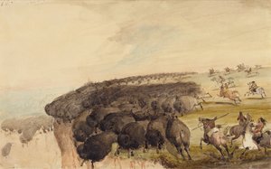 バッファローの群れを絶壁に追いやる、1837年頃（紙に鉛筆、ペン、インク、水彩） 作： Alfred Jacob Miller