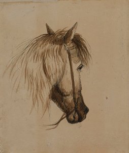 馬の頭部 作： アルフレッドジェイコブミラー