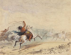 投げ縄の野生の馬、1837年頃（紙に鉛筆、ペン、インク、水彩、グワッシュ） 作： Alfred Jacob Miller
