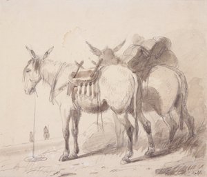 ミュール機器、1837年頃（紙に鉛筆とウォッシュ） 作： Alfred Jacob Miller