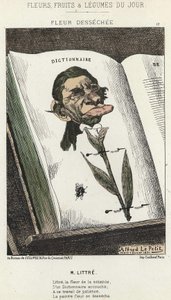 デセッシュの花：リトレの漫画-1871年02月01日の「今日の花、果物、野菜」の図版