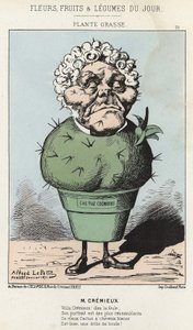 グラースの植物アドルフ・クレミューの漫画 - 1871年2月25日の "今日の花、果物、野菜 "に掲載された写真 作： Alfred Le Petit