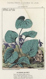 ラ・ヴィオレットエドガー・キネの漫画 - 1871年9月3日の "Flowers, Fruits and Vegetables du Jour "に掲載されています。 作： Alfred Le Petit