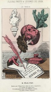 ル・ラディFélix Pyat (1810 - 1889)に関する漫画 - "今日の花、果物、野菜 "の187年2月2日の画像 作： Alfred Le Petit
