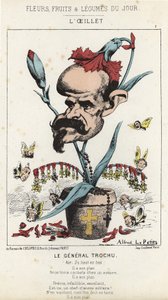 カーネーション。ルイ・ジュール・トロチュウ将軍（1815～1896）の漫画 - 1871年11月1日の「今日の花・果物・野菜」の写真 作： Alfred Le Petit