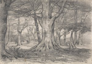 ボールドルウッド近くの森の風景 作： Alfred Parsons