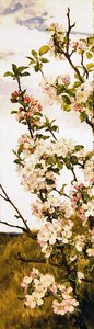 リンゴの花 1880-86年頃 パネルに油彩 作： Alfred Parsons