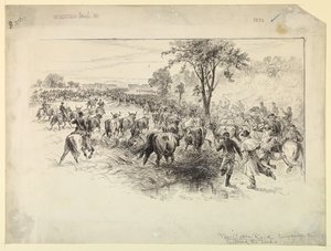 南軍騎兵隊による牛の襲撃 作： Alfred R. Waud