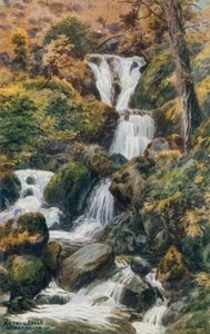 Arthog Falls、Nr。バーマス 作： Alfred Robert Quinton