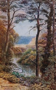 Branksome Chine、ボーンマス 作： Alfred Robert Quinton