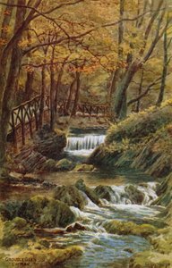 Groudle Glen、I of Man 作： Alfred Robert Quinton
