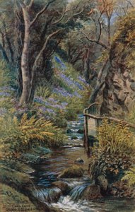 Lhen Coan、Groudle Glen、I of Man 作： Alfred Robert Quinton
