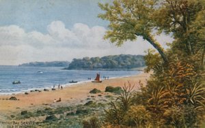 プライオリーベイシービュー、ワイト島 作： Alfred Robert Quinton