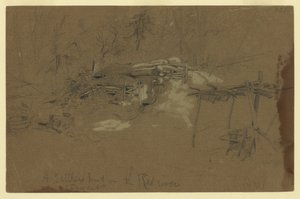 不明な画像 作： Alfred Rud Waud