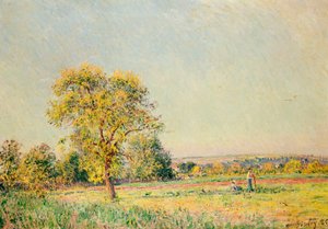 夏の日、1886 作： Alfred Sisley