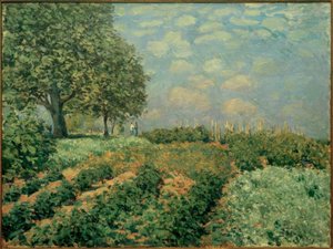 フィールド 作： Alfred Sisley