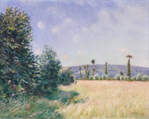 朝の太陽のサハール牧草地、1894 作： Alfred Sisley