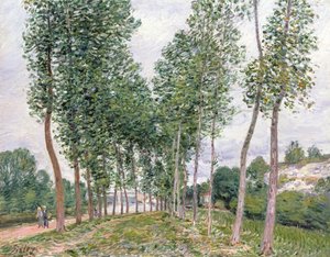 ロイン川のほとりのポプラの並木道 作： Alfred Sisley
