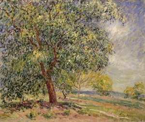 春のサブロンでのクルミの木。ノワイエオサブロン、プリムタンプ、1885 作： Alfred Sisley