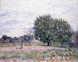 クルミの木、夕日の影響-1882年10月の初日 作： Alfred Sisley