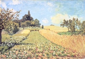 麦畑（キャンバスに油彩） 作： Alfred Sisley