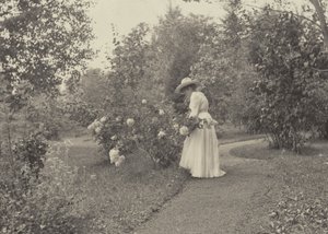  作： Alfred Stieglitz