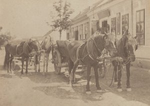  作： Alfred Stieglitz