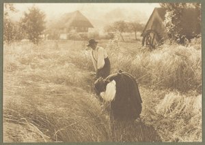 早朝 作： Alfred Stieglitz