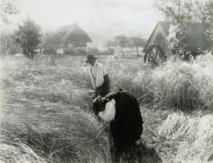  作： Alfred Stieglitz