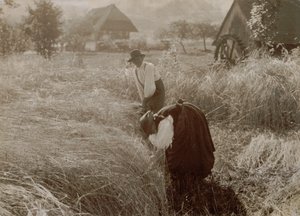  作： Alfred Stieglitz