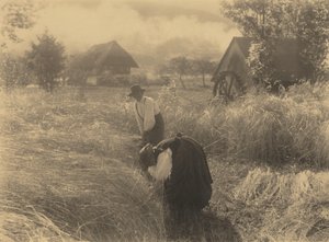  作： Alfred Stieglitz