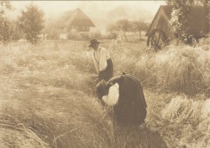 早朝、1894 年。 作： Alfred Stieglitz