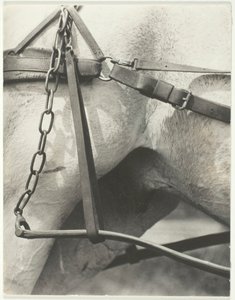 同等、スピリチュアル アメリカ、1923 年。 作： Alfred Stieglitz