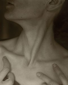ジョージア・オキーフ・ネック 作： Alfred Stieglitz
