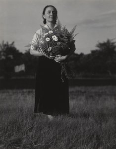  作： Alfred Stieglitz